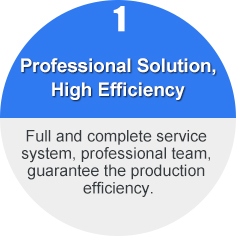 Professional Solution, High Efficiency